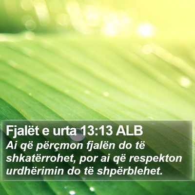 Fjalët e urta 13:13 ALB Bible Verse Image