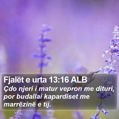 Fjalët e urta 13:16 ALB Bible Verse Image