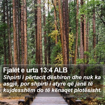 Fjalët e urta 13:4 ALB Bible Verse Image
