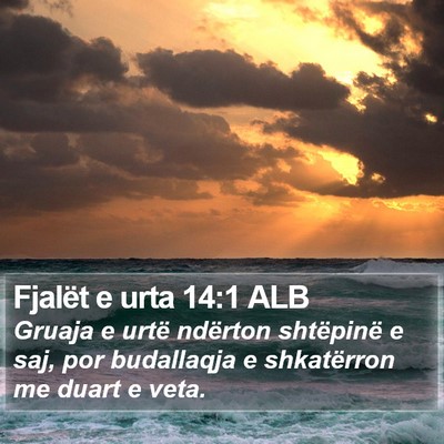 Fjalët e urta 14:1 ALB Bible Verse Image