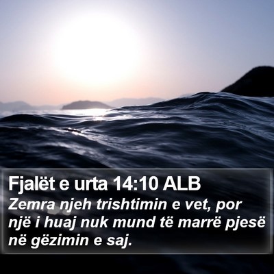 Fjalët e urta 14:10 ALB Bible Verse Image