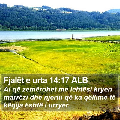 Fjalët e urta 14:17 ALB Bible Verse Image