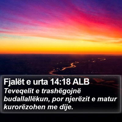 Fjalët e urta 14:18 ALB Bible Verse Image