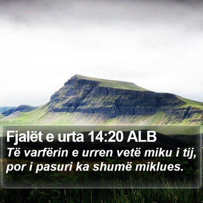 Fjalët e urta 14:20 ALB Bible Verse Image