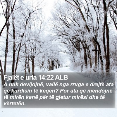 Fjalët e urta 14:22 ALB Bible Verse Image