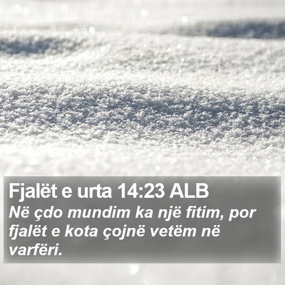 Fjalët e urta 14:23 ALB Bible Verse Image