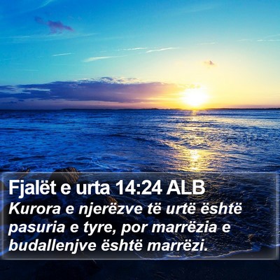 Fjalët e urta 14:24 ALB Bible Verse Image
