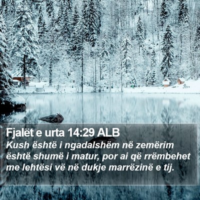 Fjalët e urta 14:29 ALB Bible Verse Image