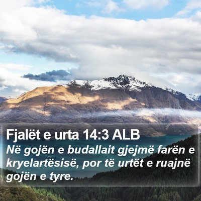 Fjalët e urta 14:3 ALB Bible Verse Image