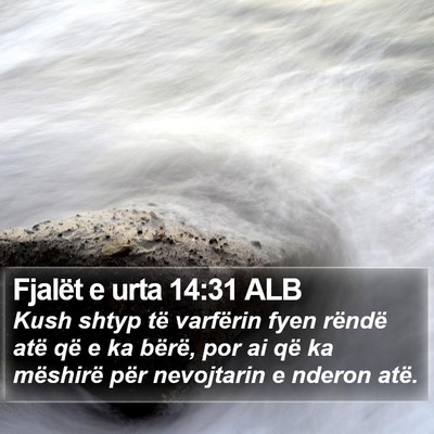 Fjalët e urta 14:31 ALB Bible Verse Image