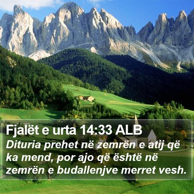 Fjalët e urta 14:33 ALB Bible Verse Image