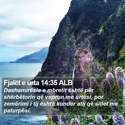 Fjalët e urta 14:35 ALB Bible Verse Image