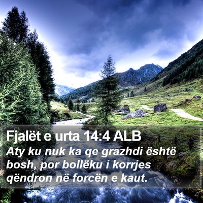 Fjalët e urta 14:4 ALB Bible Verse Image