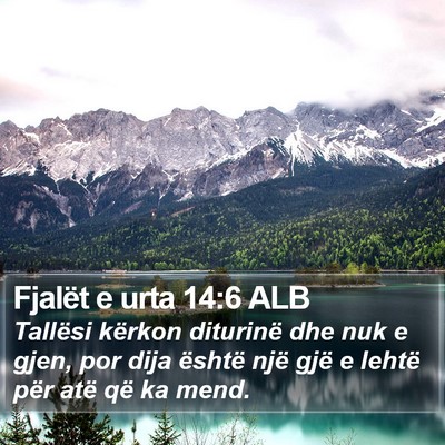 Fjalët e urta 14:6 ALB Bible Verse Image