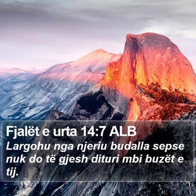 Fjalët e urta 14:7 ALB Bible Verse Image