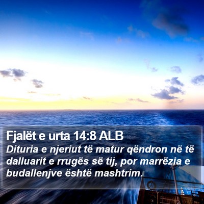 Fjalët e urta 14:8 ALB Bible Verse Image
