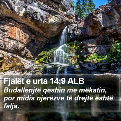 Fjalët e urta 14:9 ALB Bible Verse Image