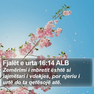 Fjalët e urta 16:14 ALB Bible Verse Image
