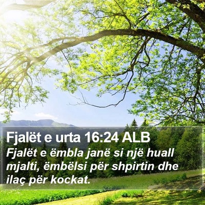 Fjalët e urta 16:24 ALB Bible Verse Image