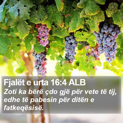 Fjalët e urta 16:4 ALB Bible Verse Image