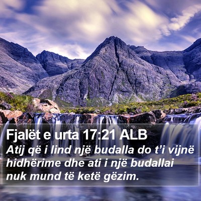 Fjalët e urta 17:21 ALB Bible Verse Image