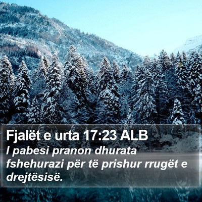 Fjalët e urta 17:23 ALB Bible Verse Image