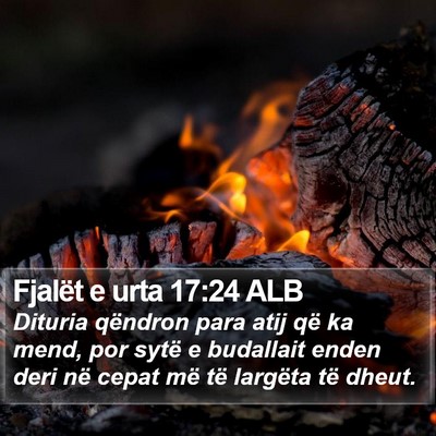 Fjalët e urta 17:24 ALB Bible Verse Image