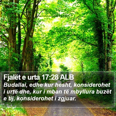 Fjalët e urta 17:28 ALB Bible Verse Image
