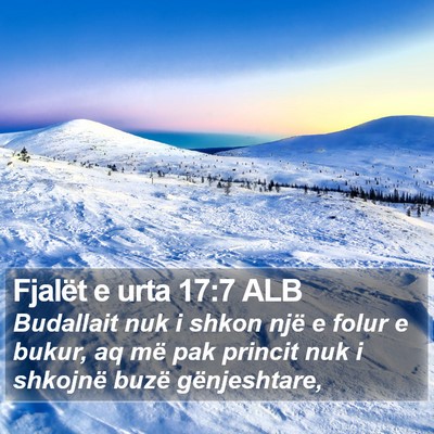 Fjalët e urta 17:7 ALB Bible Verse Image