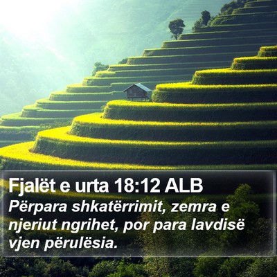 Fjalët e urta 18:12 ALB Bible Verse Image