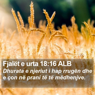 Fjalët e urta 18:16 ALB Bible Verse Image
