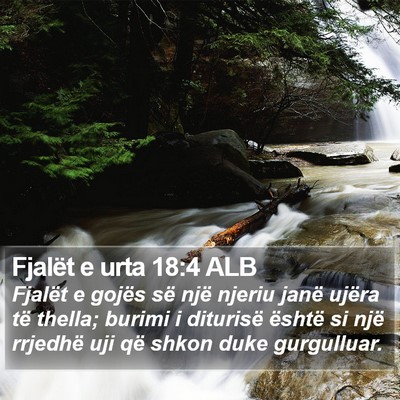 Fjalët e urta 18:4 ALB Bible Verse Image