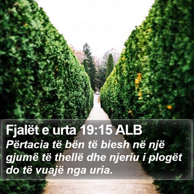 Fjalët e urta 19:15 ALB Bible Verse Image