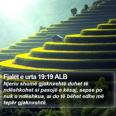 Fjalët e urta 19:19 ALB Bible Verse Image