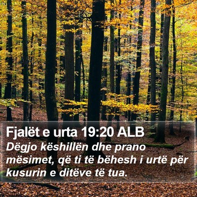Fjalët e urta 19:20 ALB Bible Verse Image