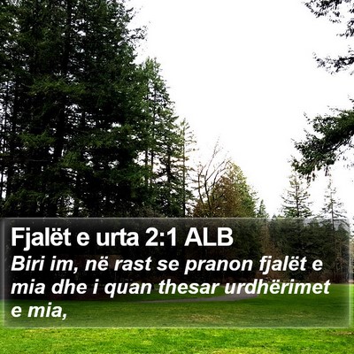 Fjalët e urta 2:1 ALB Bible Verse Image