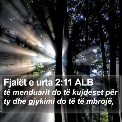Fjalët e urta 2:11 ALB Bible Verse Image