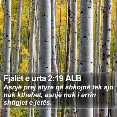Fjalët e urta 2:19 ALB Bible Verse Image