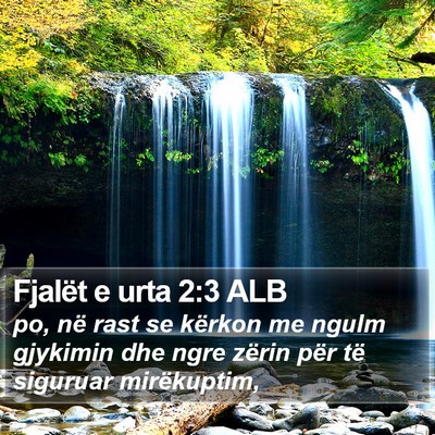Fjalët e urta 2:3 ALB Bible Verse Image