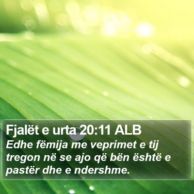 Fjalët e urta 20:11 ALB Bible Verse Image