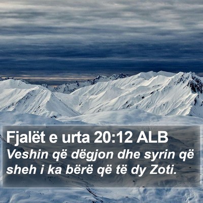 Fjalët e urta 20:12 ALB Bible Verse Image