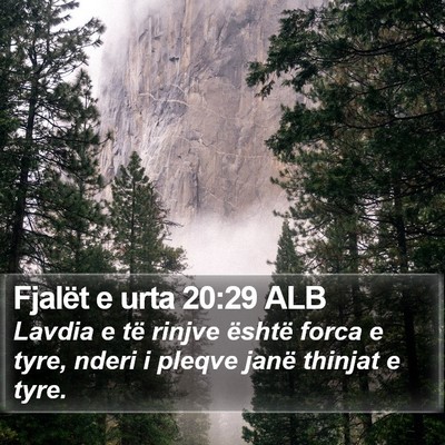 Fjalët e urta 20:29 ALB Bible Verse Image