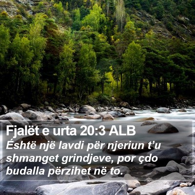 Fjalët e urta 20:3 ALB Bible Verse Image