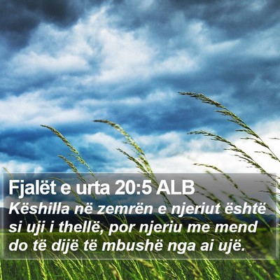 Fjalët e urta 20:5 ALB Bible Verse Image