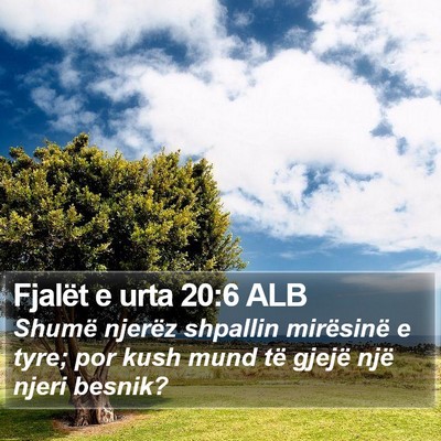 Fjalët e urta 20:6 ALB Bible Verse Image