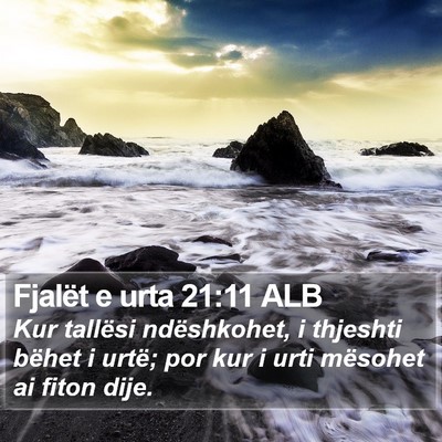 Fjalët e urta 21:11 ALB Bible Verse Image