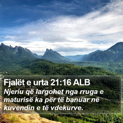 Fjalët e urta 21:16 ALB Bible Verse Image