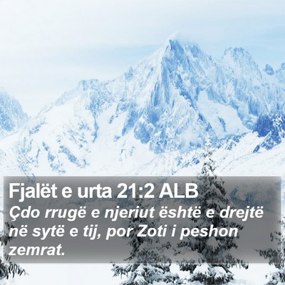 Fjalët e urta 21:2 ALB Bible Verse Image