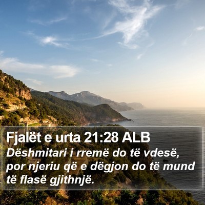 Fjalët e urta 21:28 ALB Bible Verse Image