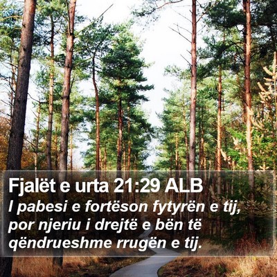 Fjalët e urta 21:29 ALB Bible Verse Image